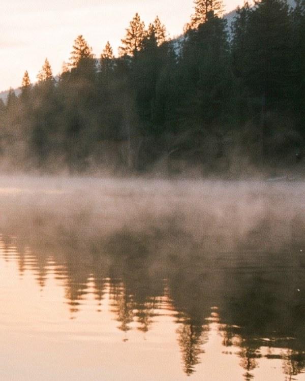 Morning mist lifting off still water in front of a line of firs, their reflections in pink dawn light